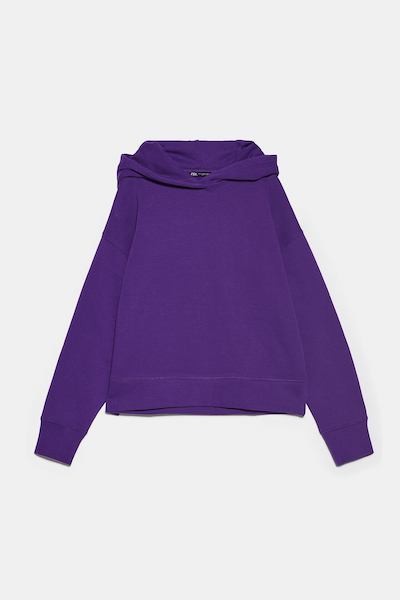 Zara Basic Hoodie Sweatshirt