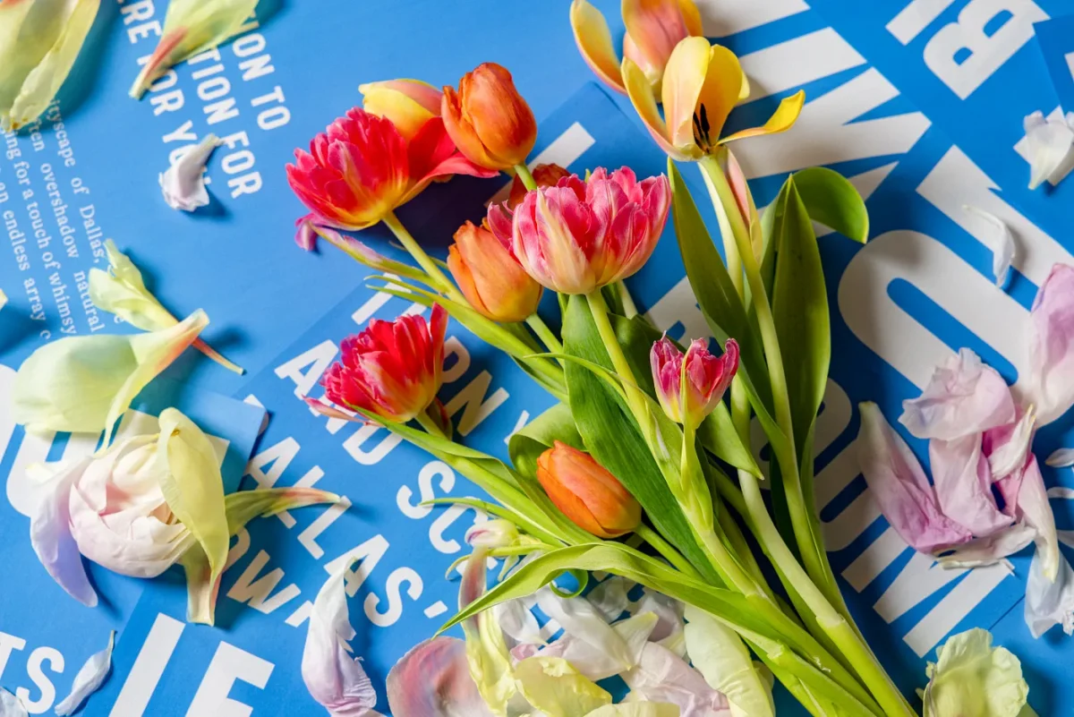 Blooming Success: An Alumna's Floral Revolution