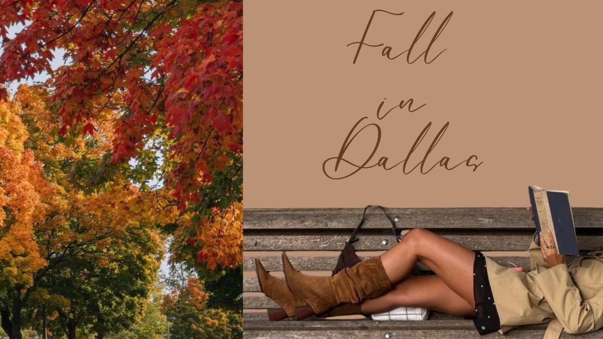 Fall in Dallas